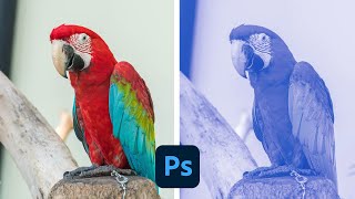 Converting the image to Pantone or spot color  Adobe Photoshop [upl. by Ikkaj]