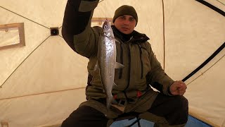 РЫБАЛКА НА ОЗЕРЕ ИМАНДРА В АПРЕЛЕ  FISHING ON LAKE IMANDRA IN APRIL [upl. by Anoniw464]