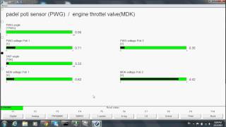 INPA Pedal Position Sensor 1 [upl. by Drofxer]