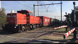 DB Cargo Diesel locomotive 6469 with Wetron Shuttle Container Train at Blerick NL 🇳🇱 November 52024 [upl. by Nosro]