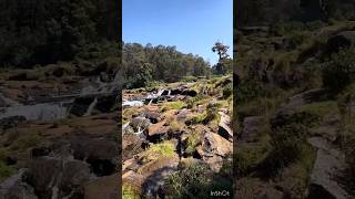 Pykara falls ooty waterfall shorts travelvlog nature tamilnadu [upl. by Downes]