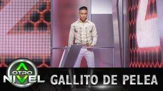 Maldita traición  Gallito de Pelea  Audiciones A otro Nivel [upl. by Mailliwnhoj]