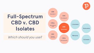 Full spectrum vs CBD isolates  Which Type of CBD is Better [upl. by Thunell]