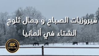 فيروزيات الصباح و جمال ثلوج الشتاء في ألمانيا Fairuz and snow in germany [upl. by Ritch704]