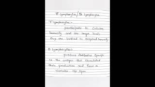 About B lymphocytes biologypharm cell biologymedical  pharm d internship internship [upl. by Fidelis]