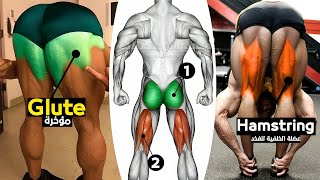 15 Best Exercises Glute and Hamstring workout [upl. by Ninetta]