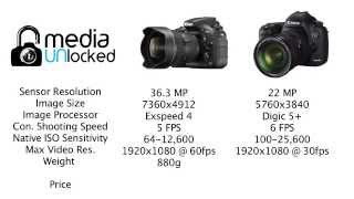 Review Nikon D810 vs 5D Mark iii [upl. by Oluas]