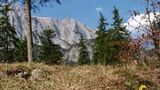 Wanderung ins Klausbachtal [upl. by Icak]