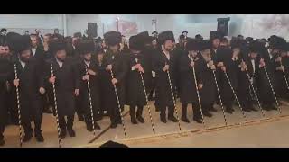 The Hassidic Broom Dance [upl. by Einahpad]