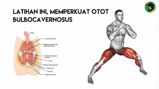 Latihan Panggul Pria Memperkuat Otot Bulbocavernosus [upl. by Horlacher218]