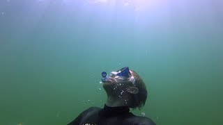 Saundersfoot snorkelling [upl. by Aneeg]