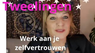 Tweelingen werk aan je zelfvertrouwen nov 24 lartistic6924gmailcom [upl. by Alegna108]