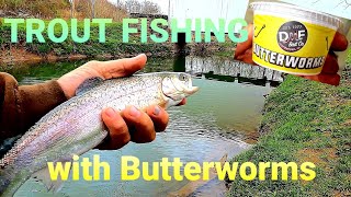 Trout Fishing with Butterworms [upl. by Attener]