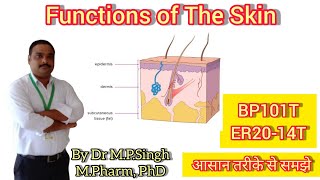 Functions of The Skin Integumentary System  Human Anatomy amp Physiology  BP101T amp ER2014T [upl. by Aivatnohs542]