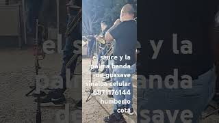 el sauce y la palma banda de guasave sinaloa celular 6871176144 humberto cota [upl. by Yralam]