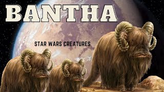 Bantha  Star Wars creatures [upl. by Nivad]