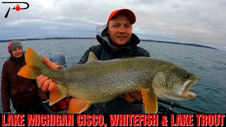 Lake Michigan Cisco Whitefish amp Lake Trout Fishing [upl. by Aridni]