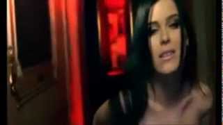 SEREBRO  Why Fan Video [upl. by Antonella]