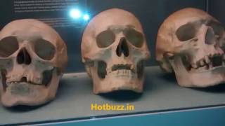 National Museum Copenhagen Denmark  A history of Vikings [upl. by Almeta]