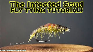 The Infected Scud  Fly Tying Tutorial [upl. by Eilojne]