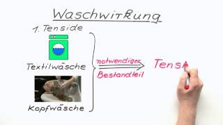 Die Waschwirkung  ein Überblick  Chemie  Organische Chemie [upl. by Livvie713]