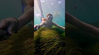 Grass 🌱 underwater freediver freediving ocean [upl. by Sidonius643]