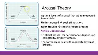 PSYC001 Arousal Theory [upl. by Mcintyre]