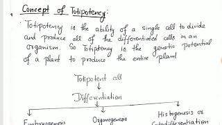 Plant BiotechnologyConcept of Totipotency by Garima Dwivedi Assistant ProfessorBiotechnology [upl. by Moynahan]