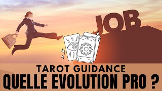 PROFESSIONNEL  Quelle décision prendre  ★ INTEMPOREL ★ Tirage tarot oracle [upl. by Eiddet65]