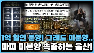 1억 할인분양 그래도 미분양이라니마피 속출하는 울산에 미분양 물량 폭증 2023년 12월 기준 울산 미분양 아파트 총정리12월 최신판ft 부동산 투자 [upl. by Tema66]