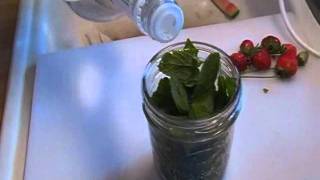 How to Make Mint Extract Noreens Kitchen [upl. by Bauer238]