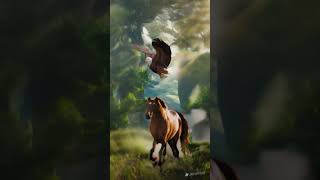 Hybrid Animals Flying Horse Eagle short shorts hybridanimals [upl. by Annohsat]