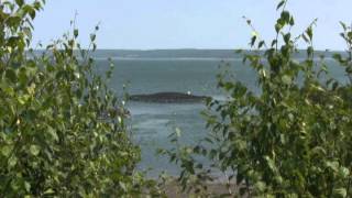 Digby Ferry To Saint John New Brunswick An Innovative Look wwwihca [upl. by Eanram]