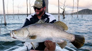 Barramundi  Teemburra Dam [upl. by Eisnil678]