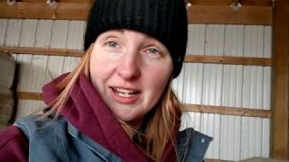 VLOG My horse has Cushings Disease Starting PergolidePrascend Poor Versace [upl. by Lounge850]