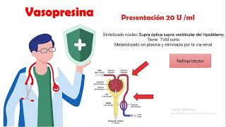 Vasopresina [upl. by Wenonah]