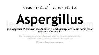 Pronunciation of Aspergillus  Definition of Aspergillus [upl. by Anila]