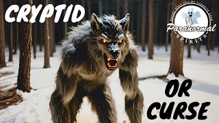 Werewolf Attacks over 200 people Cryptid or Curse from God [upl. by Akyre]