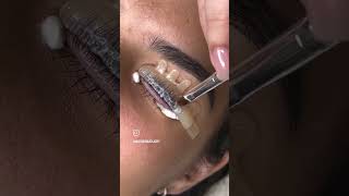 EYELASHES TUTORIAL FOR BEGINNERS  shortsfeed shots shorts short eyelashextensions trending [upl. by Ricardo]