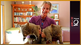 🇦🇺 The Wombat Whisperer  101 East [upl. by Grubman]