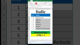 How to Italic text in Excel [upl. by Elleved]