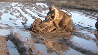 Honda 420s Outlaws and Swamplites Mud riding [upl. by Lezlie]