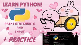 LEARN PYTHON ON YOUR OWN 01 PRINT STATEMENTS amp INPUT  PRACTICE [upl. by Eenaffit]