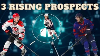 2025 NHL Draft  3 Rising Prospects [upl. by Whall367]