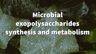 Microbial exopolysaccharides synthesis and metabolism Explained Agricultural Microbiology [upl. by Naynek]