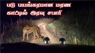 Deadly Dense Forest Night Safari  Genepool Echo Park Nadugani  Jolly Trip [upl. by Flanders]