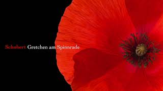 Schubert Gretchen am Spinnrade D118 Arr For Piano by Franz Liszt [upl. by Ratha]