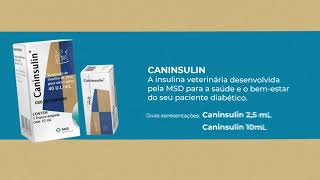 MSD Saúde Animal apresenta a única insulina veterinária do mercado Caninsulin [upl. by Lindell]