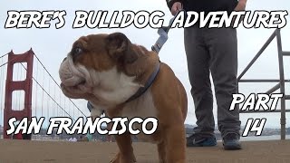 Beres Bulldog Adventures Part 14 Journey to the Golden Gate [upl. by Steve]