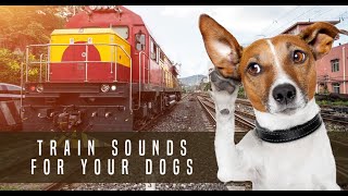 Train Sound Dog Desensitization Sound Noise for Puppy Dog Socialization [upl. by Leavy]